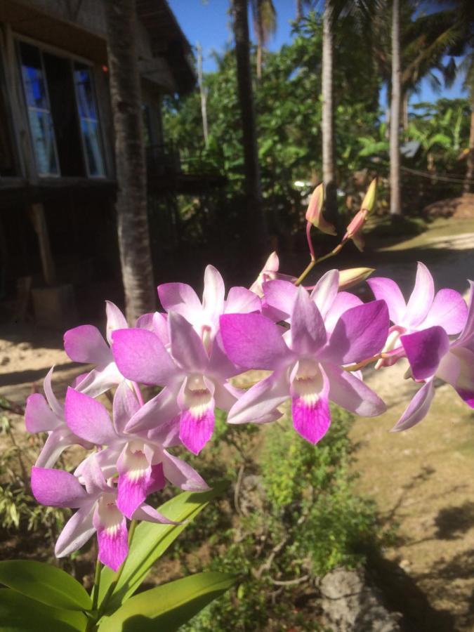 We Call It Rainbow Paradise Hotel Daanbantayan Exterior photo
